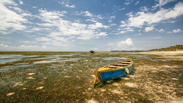 Wide shot of empty blue and yellow boat on sand with sea kelp during low tide with blue sky with clouds in background. Malindi, Kenya