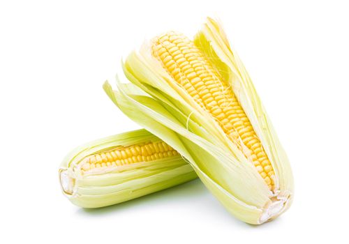 Raw corn on a white background