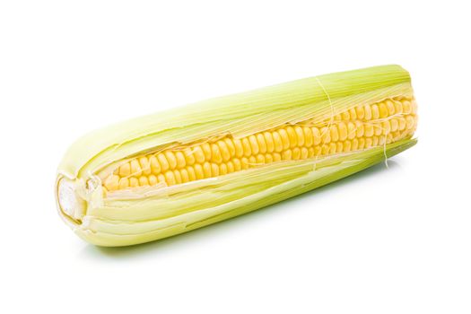 Raw corn on a white background