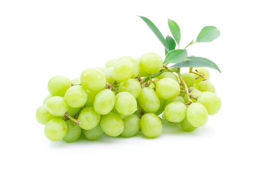 Fresh grape green on a white background