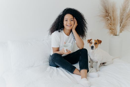 Happy attractive ethnic woman with curly hair wears white t shirt, jeans and socks, smiles pleasantly, drinks tea in comfortable bed, poses with dog, have lazy weekend. People, rest, animals concept