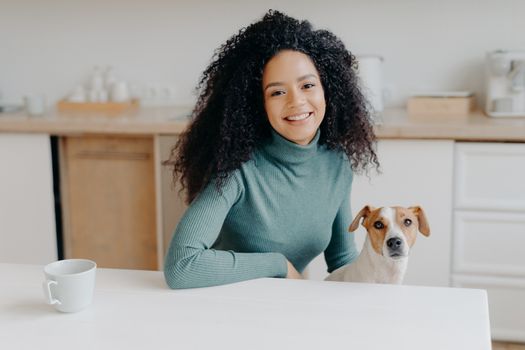 Beautiful curly haired woman dressed in casual turtleneck, sits at white table in kitchen, drinks tea from cup, plays with jack russell terrier dog, enjoys spare time. Afro lady with favourite pet