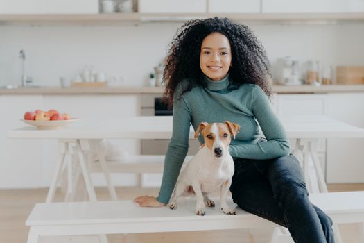 Happy housewife with Afro haircut, sits at bench with pedigree dog, have fun and look directly at camera, pose in kitchen, express good emotions, relax together. Lovely pet with owner at home