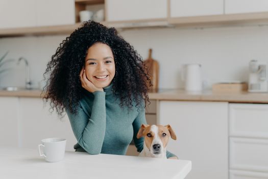 People, animals, friendship concept. Cheerful curly woman sits in kitchen , drinks hot bevereage, her loyal domestic pet poses near enjoy spending time together. Afro girl with dog in modern apartment