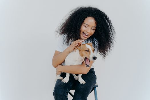 Joyful African American woman plays with pedigree dog, dressed in casual wear, petting favourite pet, isolated over white background, sits on chair. Positive human expressions. Friendship concept