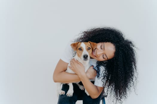 Image of playful pretty woman with Afro hairstyle, smiles gladfully, holds domestic animal, carries dog to veterian, isolated over white background. Glad lady petts jack russell terrier at home.