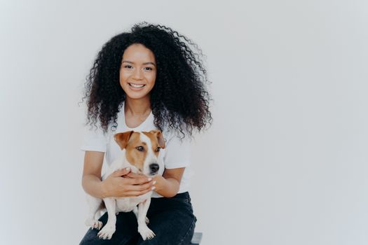 Humans and animals concept. Cheerful good looking woman with crisp hair, smiles pleasantly, plays with pedigree dog, sits on comfortable chair, makes memorable shot, pose against white background