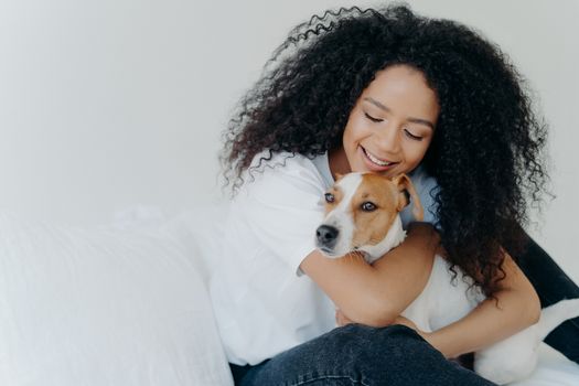 Happy African American woman expresses love to dog, embraces pet, dressed in casual wear, sit on comfortable bed in bedroom, sleeps with domestic animal. Jack russell terrier with owner in morning