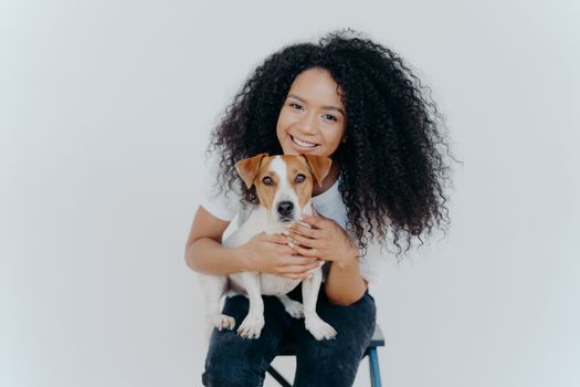 Smiling African American woman poses with domestic animal, looks gladfully at camera, cuddles dog, sits on chair, isolated over white background. Two family members. Homely relax. Forever together