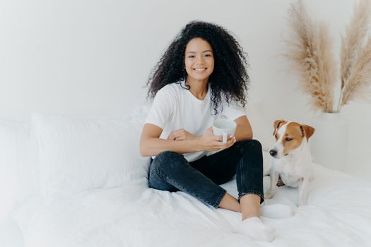 Glad dark skinned Afro American female feels relaxed, poses in bedroom on comfortable bed with pedigree dog, drinks hot beverage, has morning coffee, smiles happily, enjoys spare time at home.
