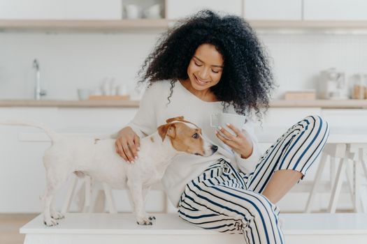 Lovely African American woman has coffee break, petting pedigree dog, sits on comfortable white bench against kitchen background, smiles with happiness. People, care, love and animals concept