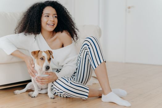 Cute cheerful young African American female sits on floor near sofa, plays with dog, dressed in stylish clothing, looks gladfully somewhere, spends free time at home. Happy pet owner indoor.