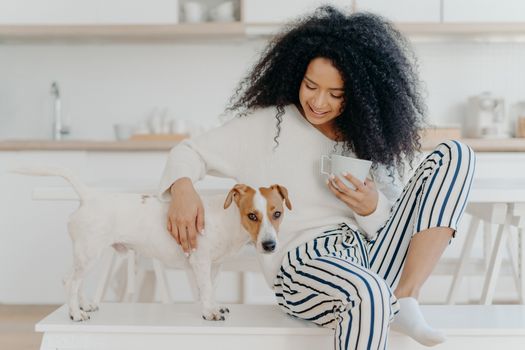 Positive curly young woman drinks aromatic drink, plays with dog, poses against cozy kitchen interior, express love, togtherness and friendship between animals and people. Domestic atmosphere