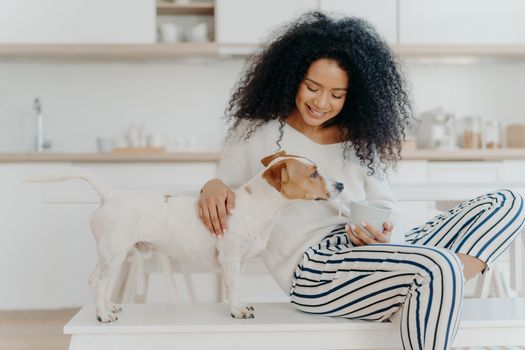 Shot of pleasant looking young woman focused down, plays with favourite dog, holds cup of drink, pose together in kitchen, express love, has free time. Relationship between people and animals