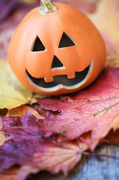 Halloween pumpkin on autumnal leaves