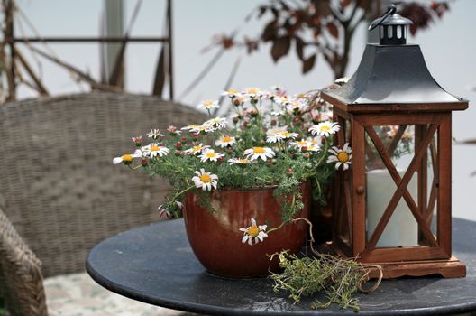 Outdoor table with daisy flower pot and lantern with candle