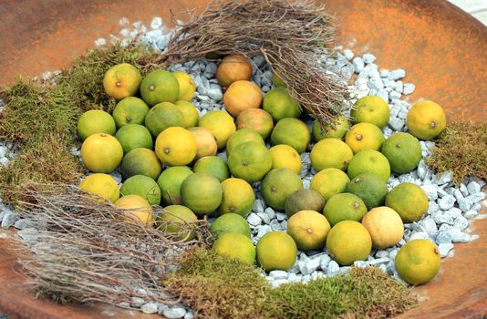 Rusty iron bowl with many fresh lemons