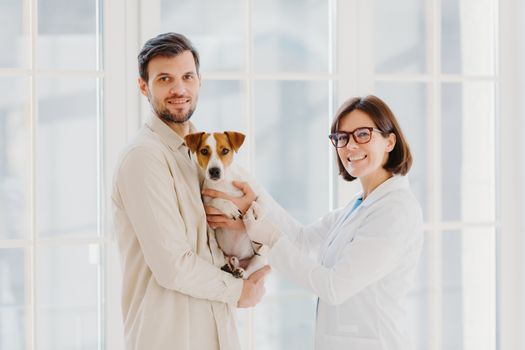 Vetarinary and animal healthcare concept. Happy smiling female vet care about dogs health, going to examine jack russell terrier, talks with client, works in medical center for domestic animals