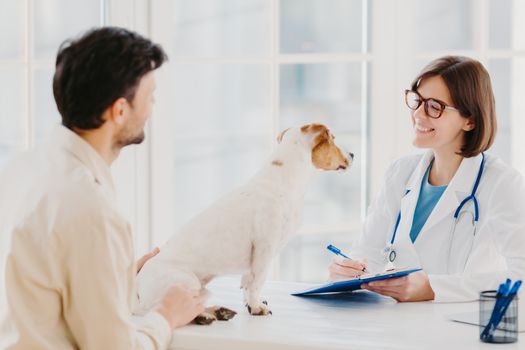 Vet checks pet in hospital, modern office, communicates with male host, writes down form in clipboard, likes animals, cares about health. Dog owner in doctors cabinet with jack russell terrier