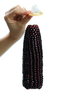 Ripe purple corn with condom on white background. isolated