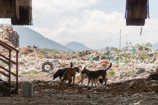 A huge landfill for waste disposal. Accumulation of garbage in landfill or deposit. Pollution concept.