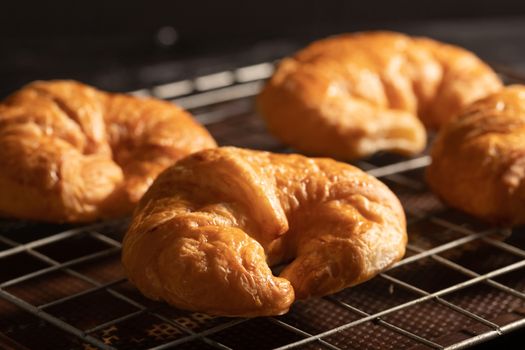 Close-up croissant on the grille in the oven.