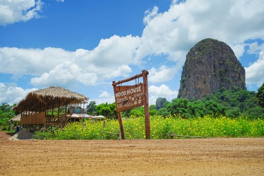 Sa Kaeo, Thailand - July 17, 2020: Beautiful scenery at the popular coffee cafe named Woodhouse Khao Chakan in Khao Chakan District, Sa Kaeo Province, Thailand.