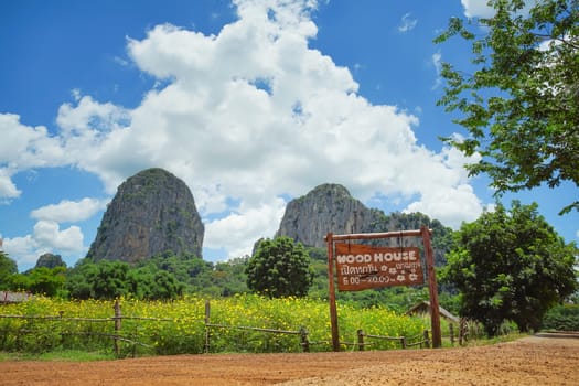 Sa Kaeo, Thailand - July 17, 2020: Beautiful scenery at the popular coffee cafe named Woodhouse Khao Chakan in Khao Chakan District, Sa Kaeo Province, Thailand.