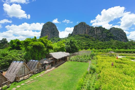 Sa Kaeo, Thailand - July 17, 2020: Beautiful scenery at the popular coffee cafe named Woodhouse Khao Chakan in Khao Chakan District, Sa Kaeo Province, Thailand.