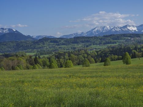 Beautiful spring rural mountain landscape in the Bavarian Alps with church and snow covered mountain peaks massif in the background. Bavaria, Germany.