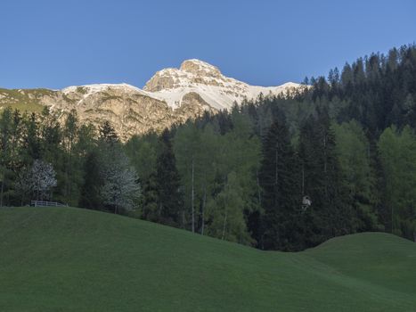 Green spring meadow with high seat and blooming trees, forest and snow covered mountain peak in Stubai valley, Neustift im Stubaital Tyrol, Austrian Alps.