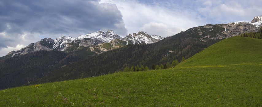 Panoramic landscape of green spring meadow with blooming flowers and trees, forest and snow covered mountain peak in Stubai valley, dramatic clouds.Neustift im Stubaital Tyrol, Austrian Alps.