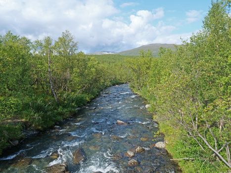 Blue glacial river canyon and green birch tree forest and hills at Abisko National Park, Lapland, Northern Sweden, at the start of Kungsleden trail. Summer sunny day.