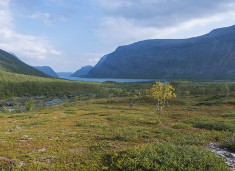 Beautiful wild Lapland nature landscape with blue glacial river, Kaitumjaure lake, birch tree forest and mountains. Northern Sweden summer at Kungsleden hiking trail. Blue sky background.