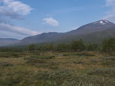 Beautiful wild Lapland nature landscape with birch tree forest and mountain Sanjartjakka. Northern Sweden summer at Kungsleden hiking trail. Blue sky background.