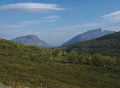 Beautiful wild Lapland nature landscape with green bushes, snow capped mountains and birch tree forest. Northern Sweden summer at Kungsleden hiking trail