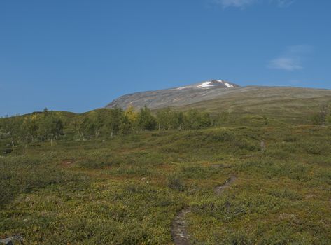 Footpath to peak of mountain Sanjartjakka with Beautiful wild Lapland nature landscape with birch tree forest. Blue sky background.