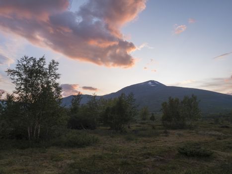 Beautiful wild Lapland nature landscape with birch tree forest and mountain Sanjartjakka. Lapland nature landscape in summer, sunset pink clouds.