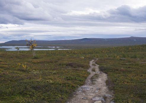 Lapland landscape with Kungsleden hiking trail in northern Sweden. Wild nature with kaskajaure lake, mountains, autumn colored bushes, birch trees and heath. Cloudy sky.