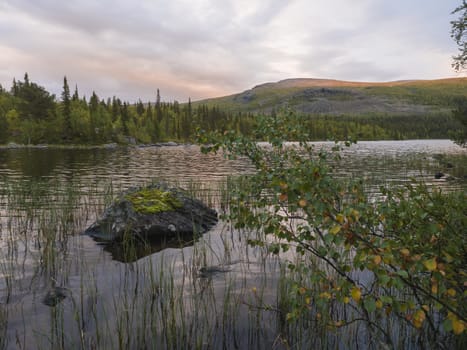 Orange pink sunset over lake Sjabatjakjaure in Parte in Sweden Lapland. Mountains, birch trees, spruce forest, rock boulders and grass. Sky, clouds and clear water