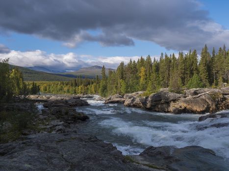 Beautiful northern landscape with wild glacier river Kamajokk, boulders and spruce tree forest in Kvikkjokk in Swedish Lapland. Summer sunny day, golden hour, dramatic clouds.
