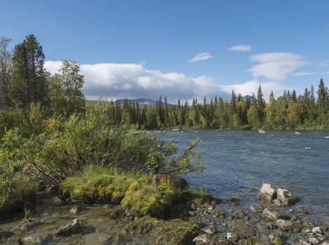 Beautiful northern landscape with wild glacier river Kamajokk, boulders and spruce tree forest in Kvikkjokk in Swedish Lapland. Summer sunny day, golden hour, dramatic clouds.