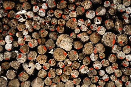 Log piles of old for the lumber industry with background.