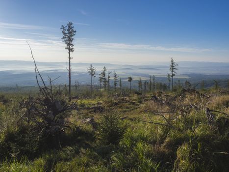 Landscape of summer mountains in morning. A view of the blue misty slopes of the mountains in the distance. Tall pine trees and coniferous forest hills in fog and rays of sunlight. Travel background, tatra mountain, Slovakia.