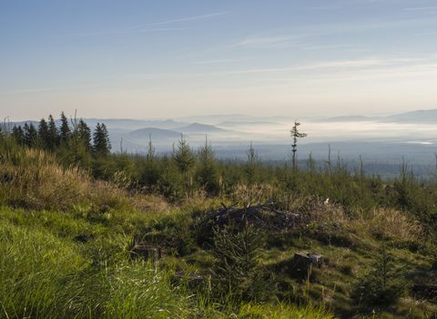 Landscape of summer mountains in morning. A view of the blue misty slopes of the mountains in the distance. Tall pine trees and coniferous forest hills in fog and rays of sunlight. Travel background, tatra mountain, Slovakia.