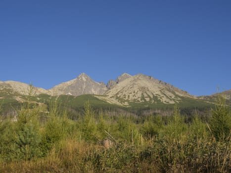 Tatra Mountains range gold colored sunrise light ,from Tatranska Lomnice with green trees and grass. Early autumn panorama.
