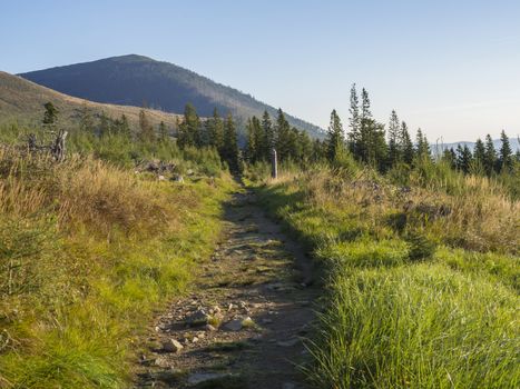 Tatra Mountains landscape with footpath and Trail blazing, golden hour light, way from Tatranska Lomnice with green trees and grass. Early autumn panorama.