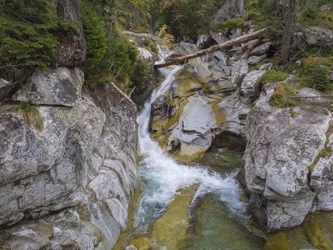 waterfall cascade on wild river stream studeny potok with boulders, autumn colored tree at mountain valley Velka Studena Dolina in Slovakia High Tatra mountains.