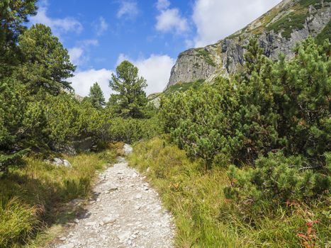 Footpath trail from Strbske Pleso, beautiful nature with pine trees and rocky montain peak, High Tatras mountain, Slovakia, late summer sunny day, blue sky background.