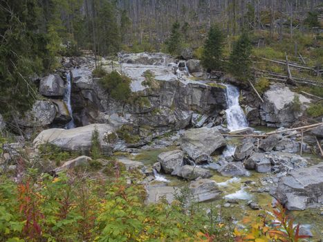 waterfall cascade on wild river stream studeny potok with boulders, autumn colored tree at mountain valley Velka Studena Dolina in Slovakia High Tatra mountains.